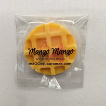 Load image into Gallery viewer, Summer Wax Melts