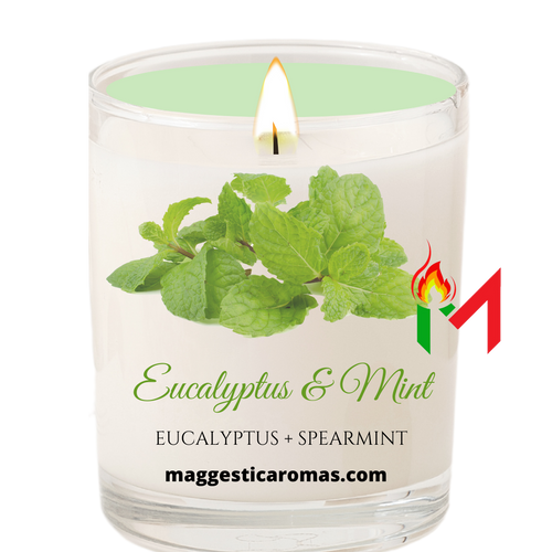 Eucalyptus & Mint